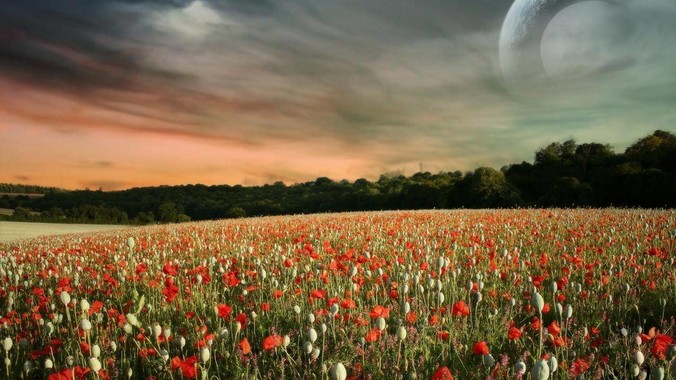 有谁现在正在使用苹果mac mini 吗？能分享一下使用感受不？